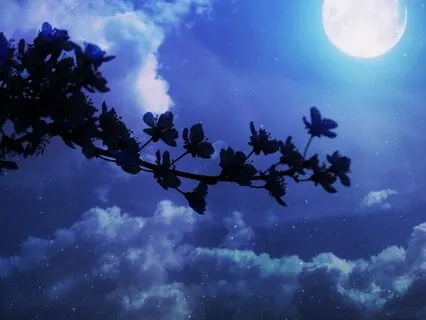 Full Moon 61-Point Body Scan