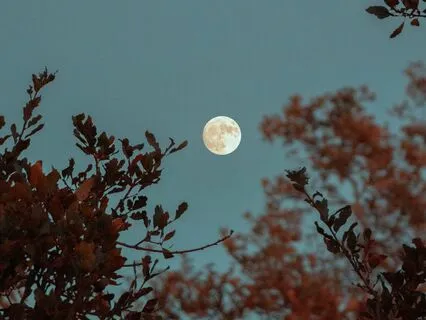 Full Moon Affirmation Meditation