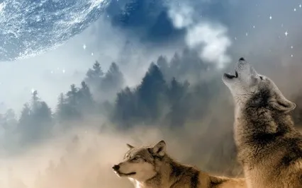 All Is As It Should Be Meditation