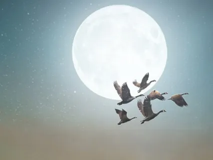 Attract Love & Positive Energy Meditation