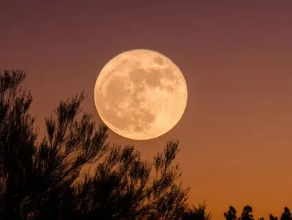 Full Moon Emotional Release And Renewal Meditation