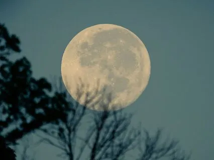 Full Moon Energy Clearing - 1-Minute Reset