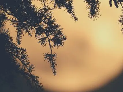 Full Moon Gratitude Meditation