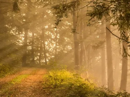 Full Moon Guided Lunar Meditation / Taurus