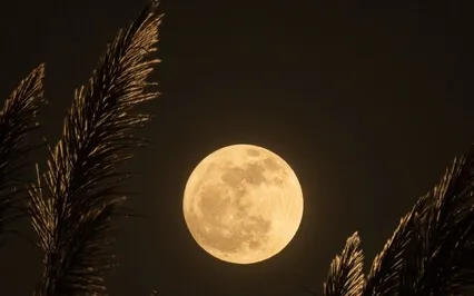 Full Moon Guided Meditation