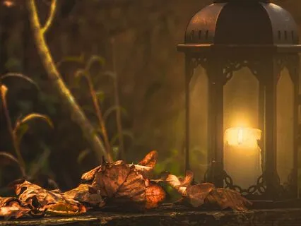 Harmonious Relationships Meditation