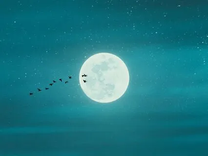 Full Moon Healing - 2-Minute Energy Clearing