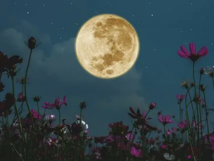 Full Moon Healing Circle: An Enchanted Sleep Story