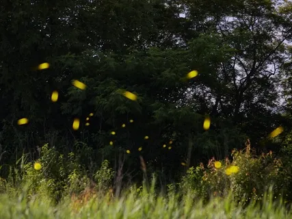 Full Moon In Aquarius: Egyptian Goddess Wenet