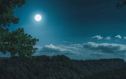 Release, Let Go & Be Free Meditation