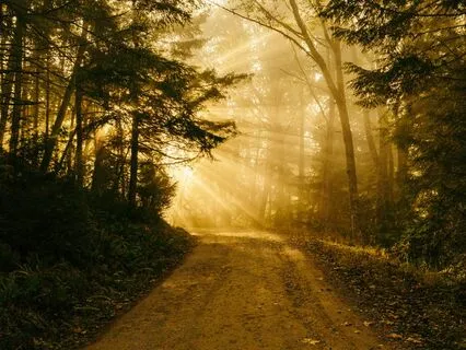 Full Moon In Aries Meditation | Unleash Your Inner Power