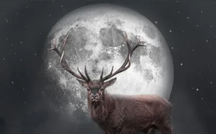 Balancing Work, Rest & Play Meditation