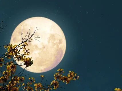 Full Moon In Gemini Guided Meditation And Reiki Healing