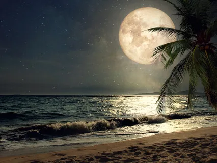 Full Moon In Leo Guided Interactive Practice