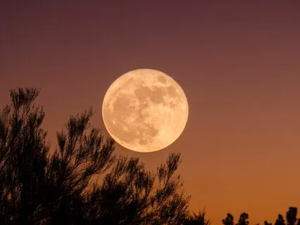 Full Moon In Leo, Meditation & Powerful Release
