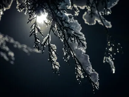 Full Moon In Leo (No Music)