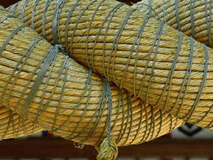 Full Moon In Libra - Cord Cutting & Relationship Release