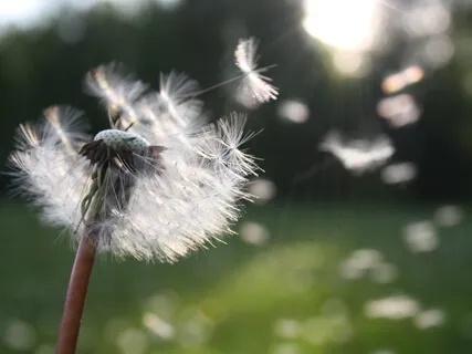 Full Moon In Libra: For Love, Compassion & Acceptance 