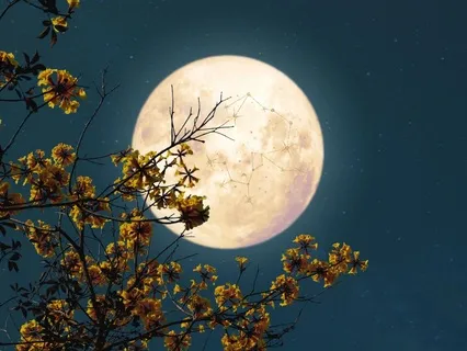 Full Moon In Sagittarius | May 2024