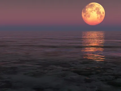 Full Moon In Scorpio: What You Can Do To Overcome Overwhelm & Let Go Of What Is Holding You Back