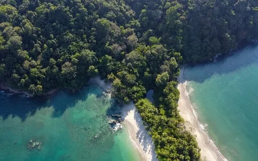 Full Moon In Virgo - Guided Sound Bath (Healing Intention)