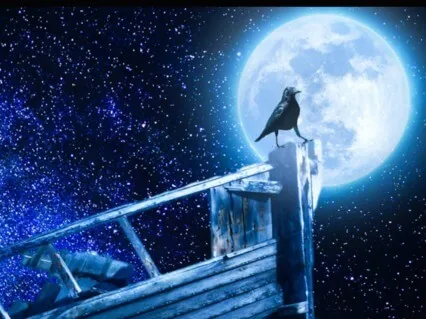 Life Review | Spring Clean Meditation