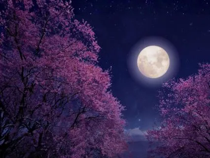 Full Moon Magic: June Full Moon In Capricorn For Clarity