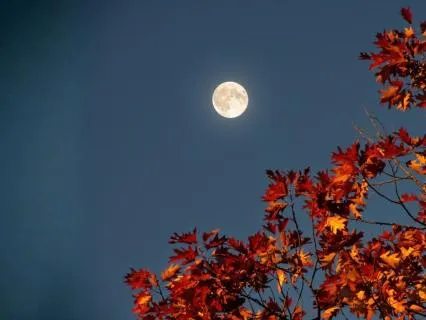 Full Moon Magic: September Harvest Full Moon In Aries