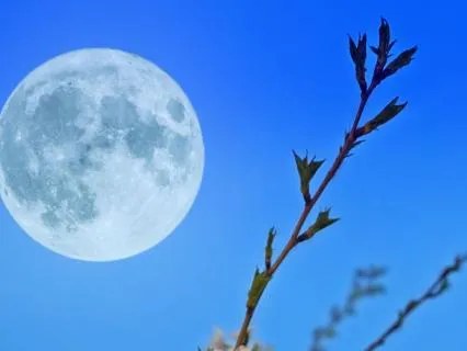Full Moon Manifestation | Call In Miracles