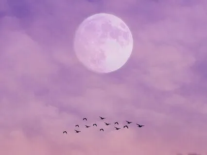 Full Moon Manifestation Practice