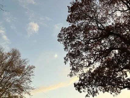 Full Moon Meditation