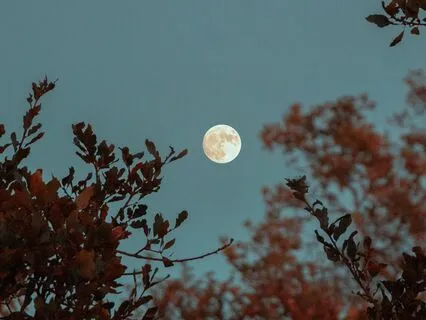 Full Moon Meditation - Invoke Goddess Artemis For Healing