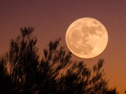 Self-Acceptance Meditation