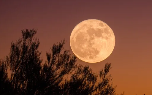 Full Moon Meditation