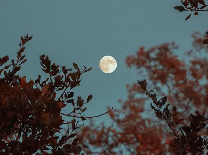 Full Moon Meditation