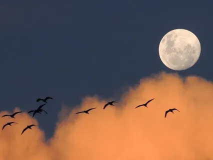 Full Moon Meditation: Accessing Love And Abundance