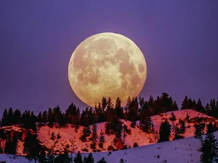 Manifestation Ritual For The Full Moon