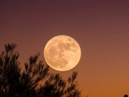 Full Moon Meditation, Buck Moon in Capricorn