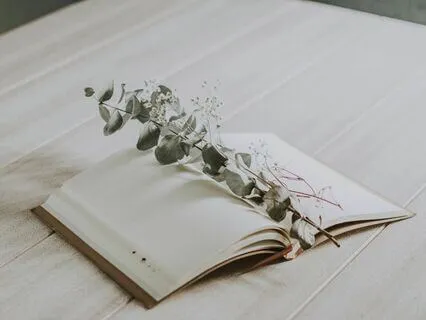 Full Moon Meditation | Capricorn | Grounding | Patience |