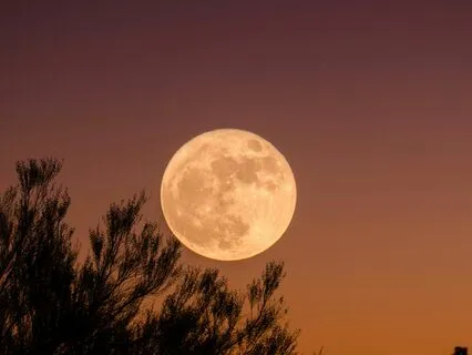 Full Moon Meditation: Circle Of Light