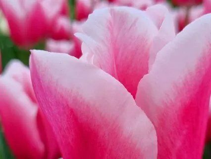 Full Moon Meditation | Harmony | Inner Peace | Libra