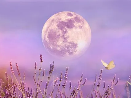 Full Moon Meditation Music & Nature Sound Healing