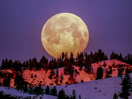 Full Moon Meditation | Release And Renewal