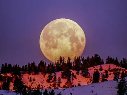 Full Moon Meditation: Release, Cleanse & Heal