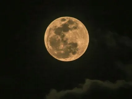 Full Moon Meditation: Release & Empower