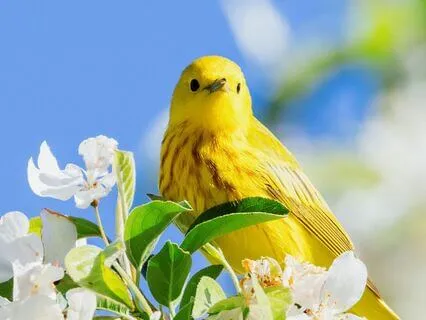 Full Moon Meditation | Renewal | Connection | Aquarius