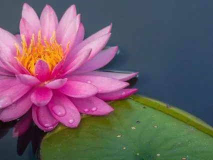 Full Moon Meditation - Sacred Waters Of Surrender