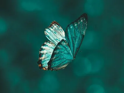 Full Moon Meditation | Scorpio | Transformation | Insight