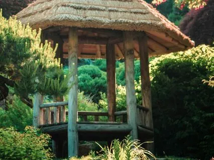 Full Moon Meditation | Stability | Rest | Taurus