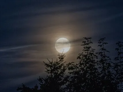 Full Moon Meditation Supporting Transitions